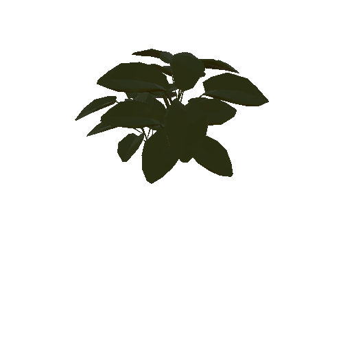 Leafy Plant 2_1